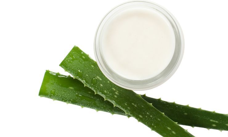 aloe crema