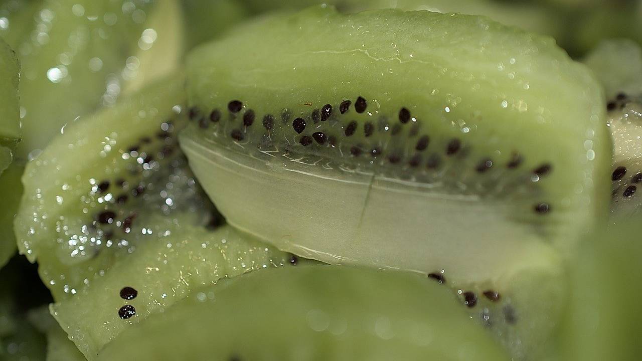 kiwi colazione linea scienza