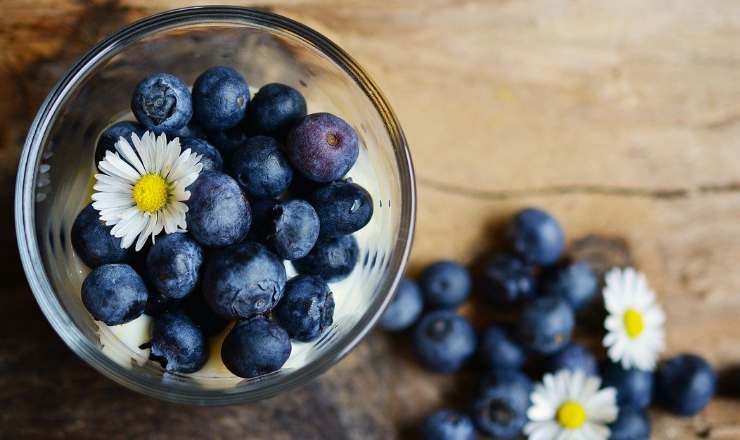 Mirtilli, I frutti di bosco sono ricchi di proprietà antiossidanti grazie alla vitamina C