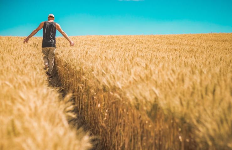 alimentazione ritmo circadiano