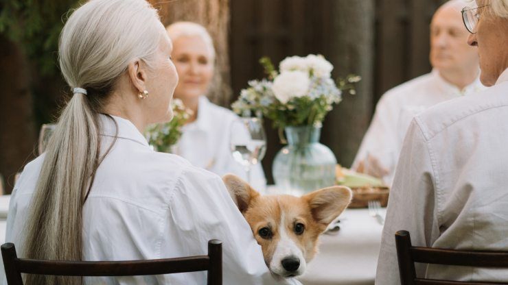 animali fanno bene alla salute delle persone