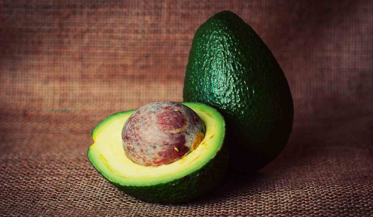 avocado nocciolo