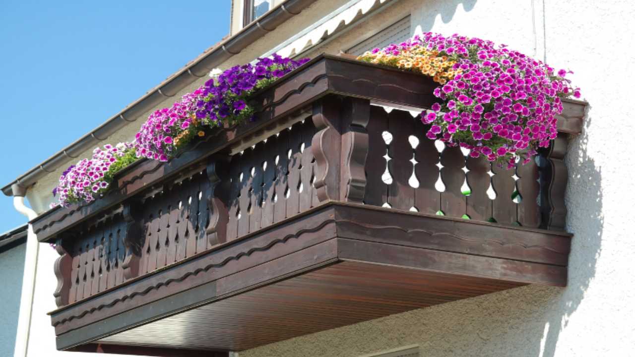 annaffiare piante consigli balcone