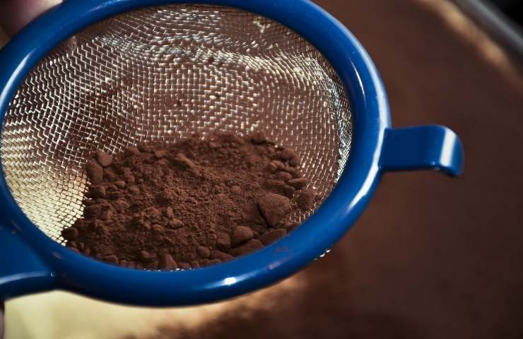 Cacao