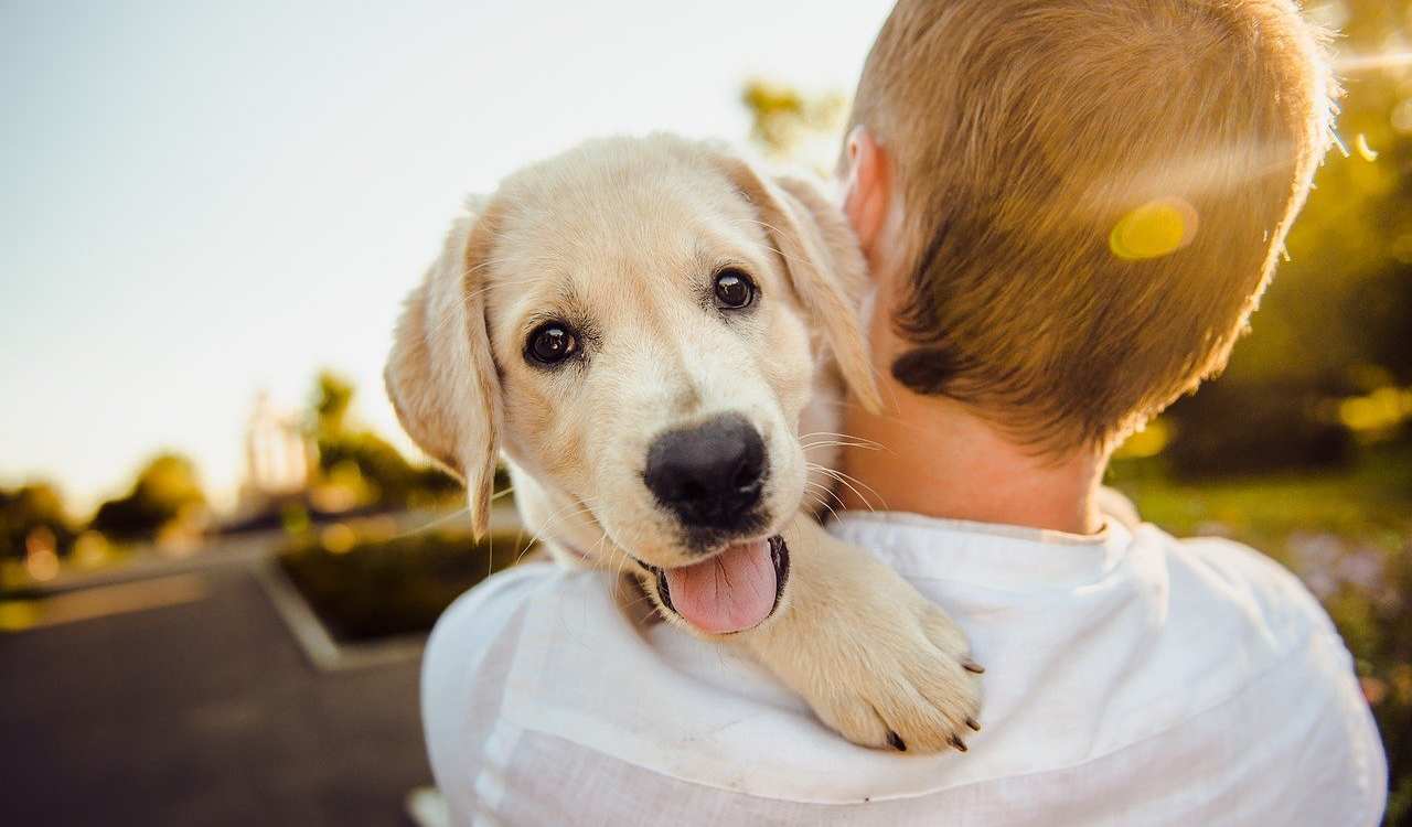 cane