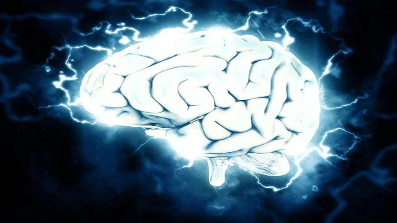 prima morire si ricorda scienza
