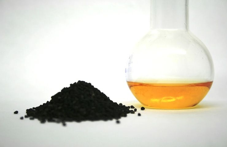 olio semi nigella sativa qualità