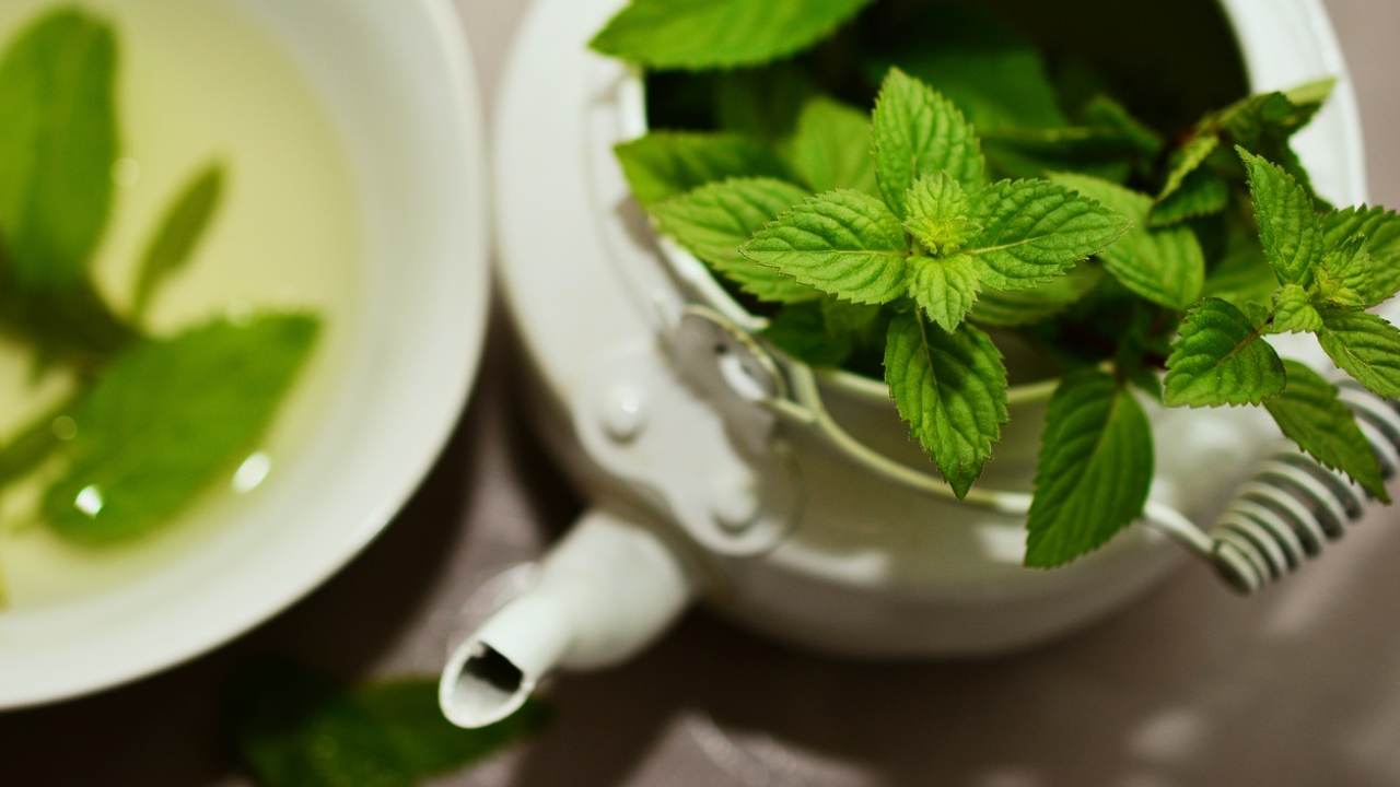 Erbe aromatiche