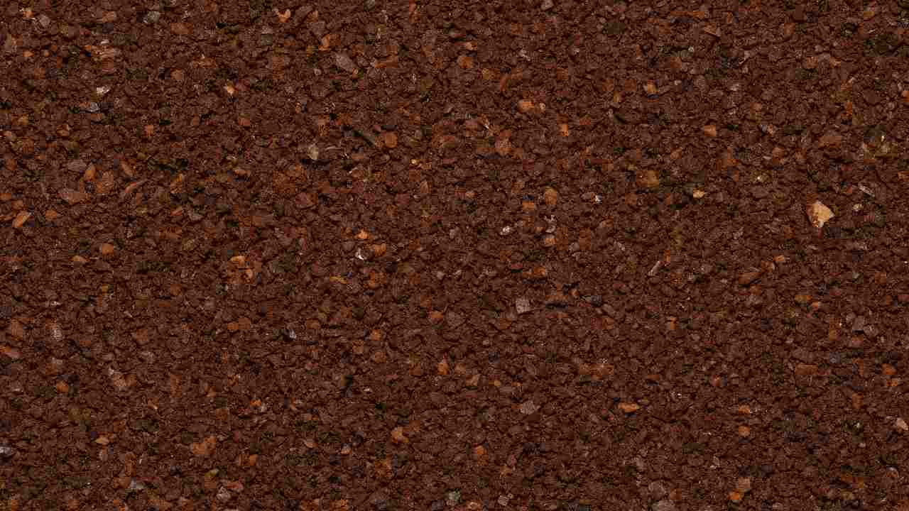 fondi del caffè orto giardino