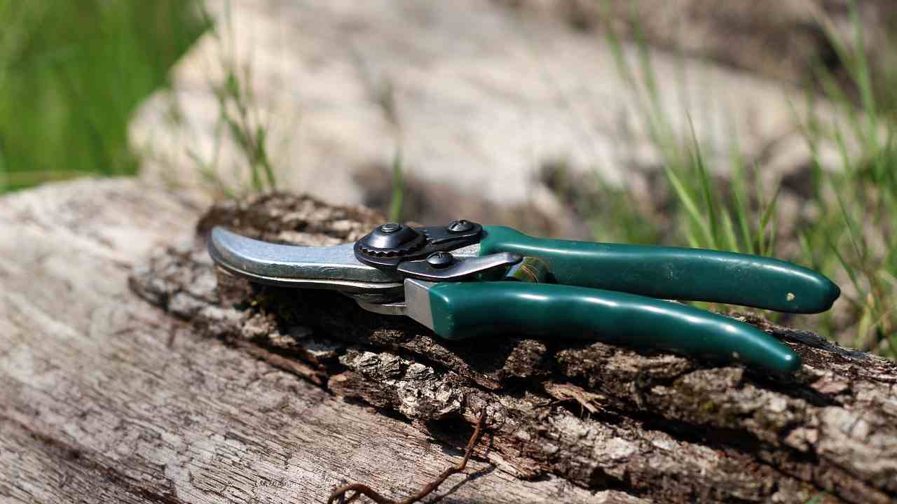 come preparare orto giardino primavera