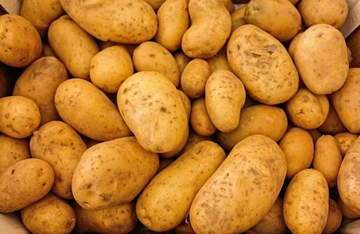 Patate