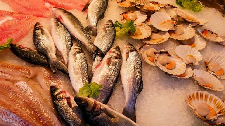 pesce fa bene alla salute