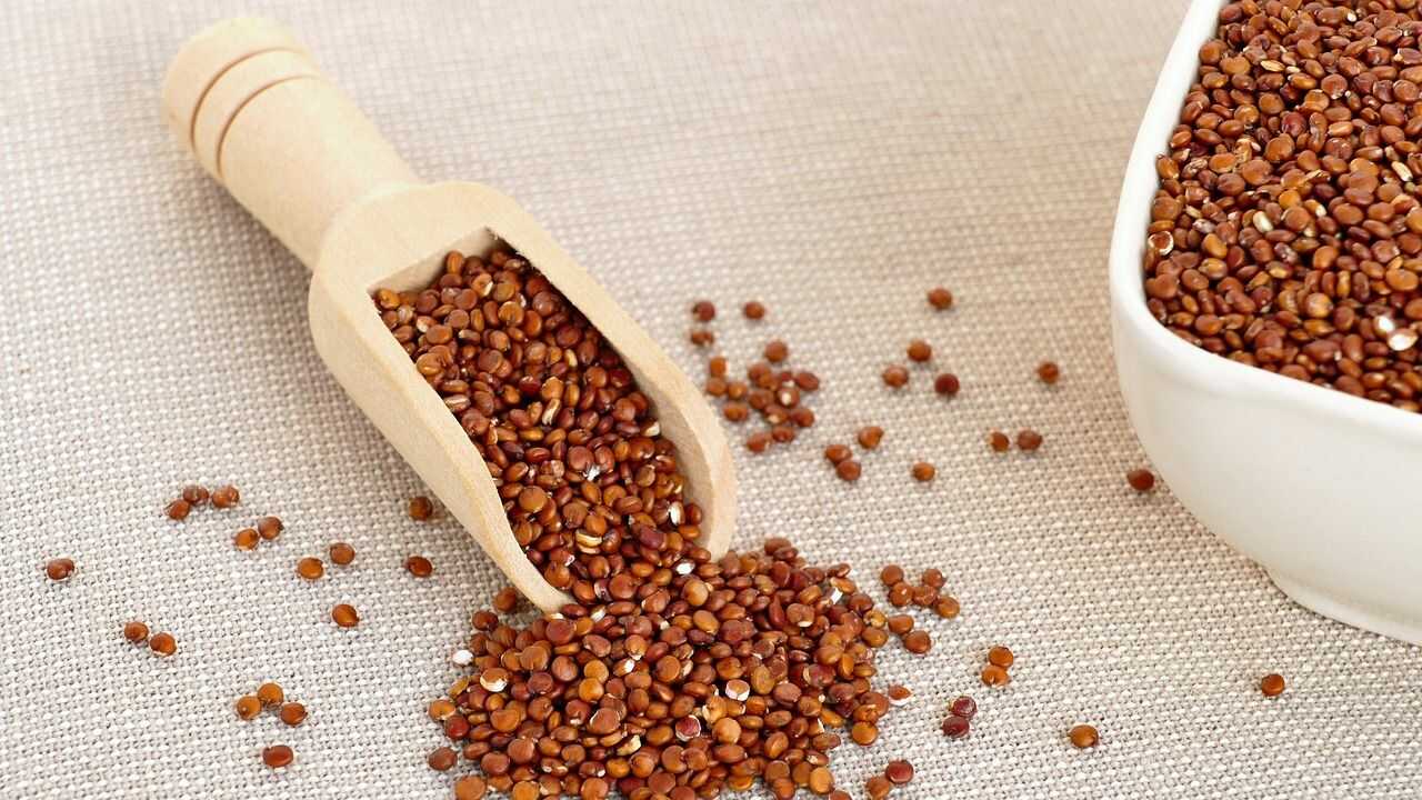 La quinoa è un alimento ricco di fibre, dall'alto potere saziante