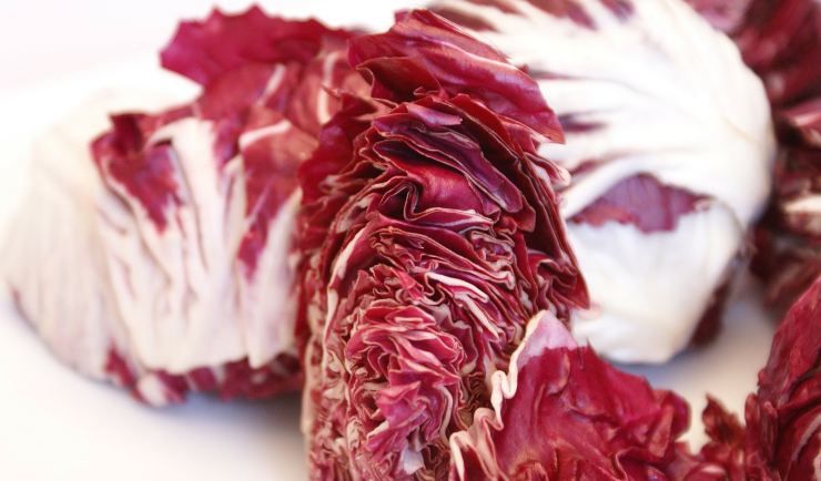 radicchio