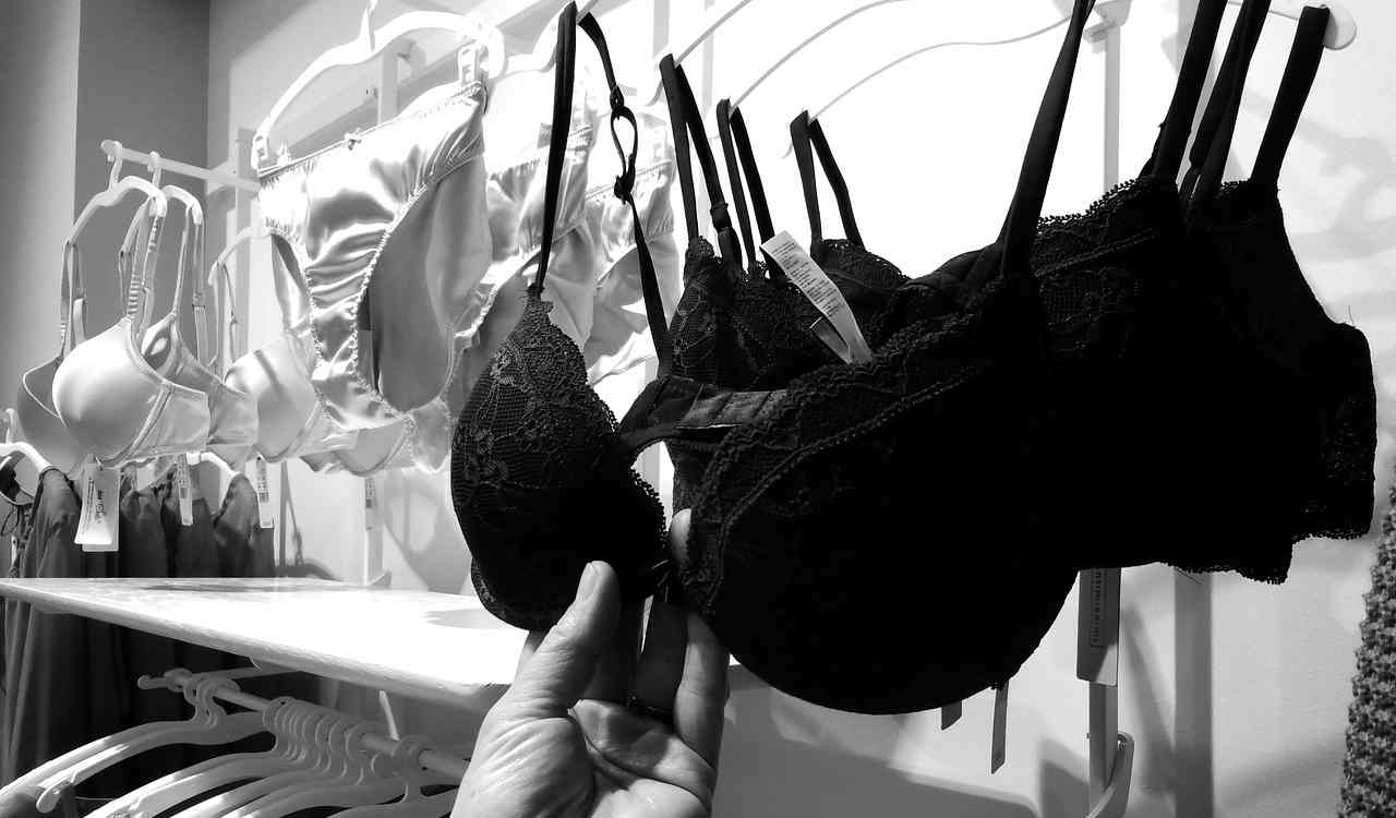 reggiseno