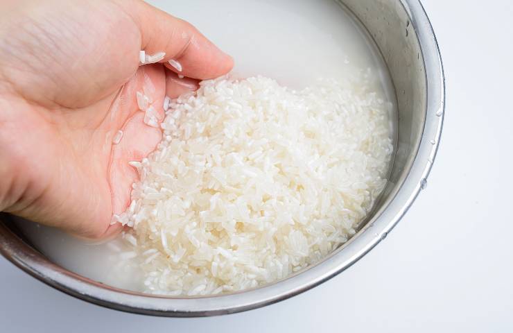 Dieta del riso e pollo