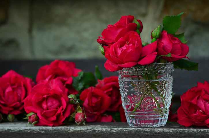 rose rosse san valentino