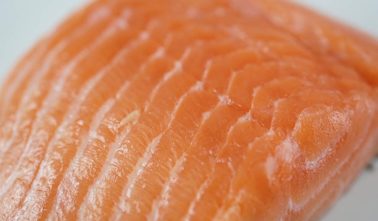 salmone