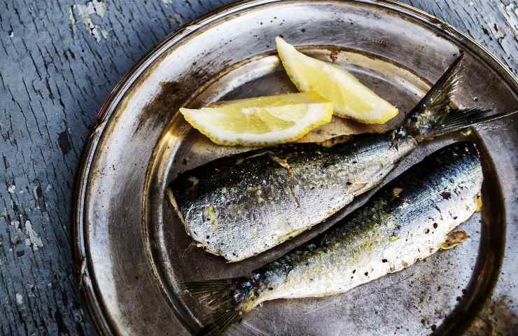 Sardine fonte nutrizionale