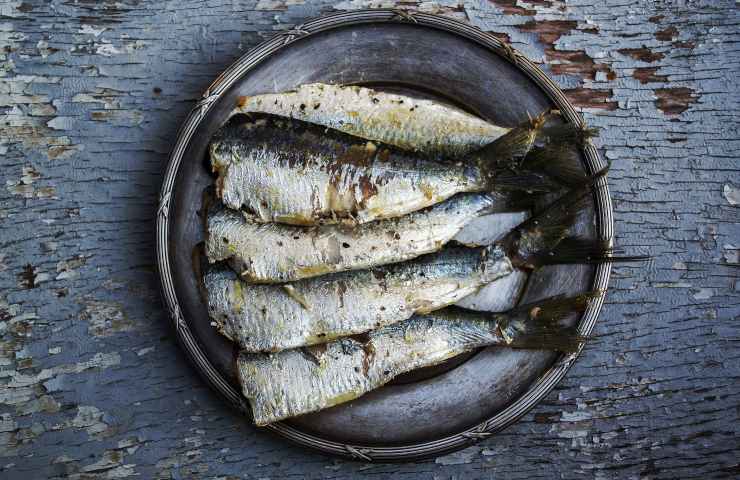 Sardine contro colesterolo