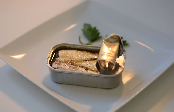 Sardine scatola