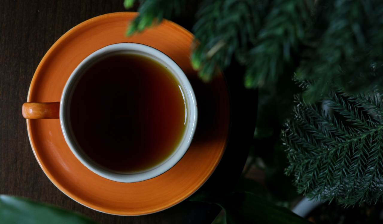 tè nero