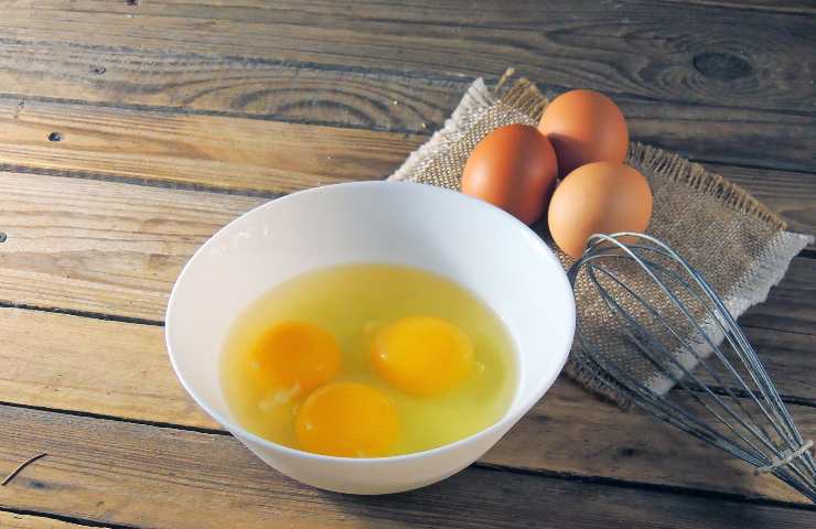 Albume uova mangiare tutti i giorni
