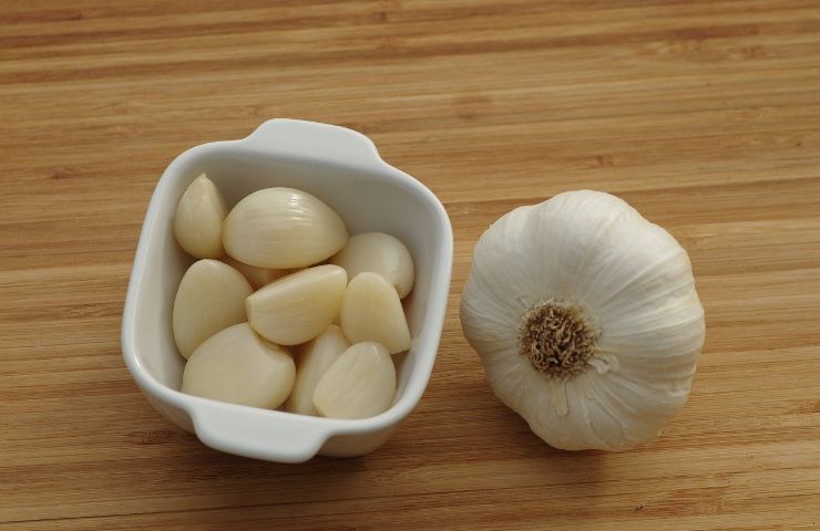 garlic red wine health cholesterol