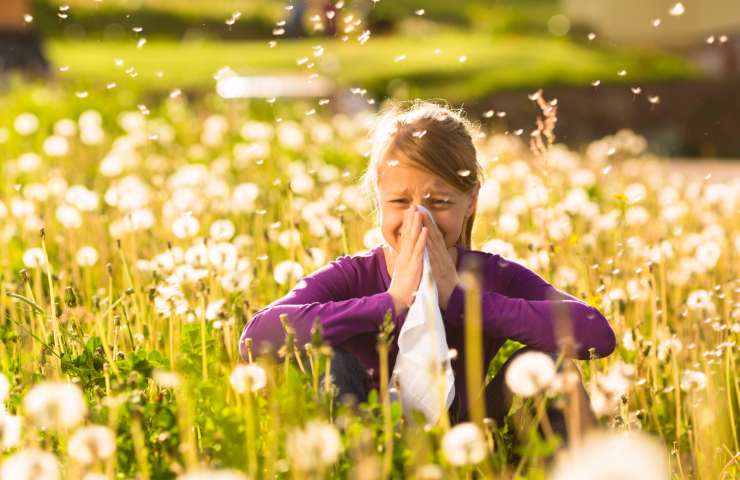 allergia alle graminacee 