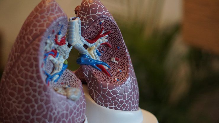 tumore ai polmoni sintomi