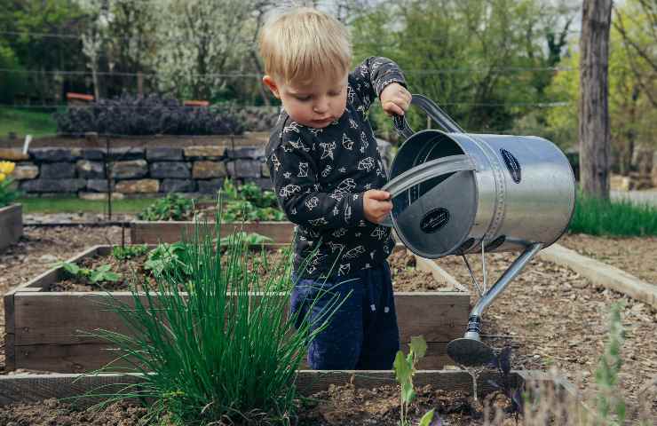 giardinaggio filosofia meditazione