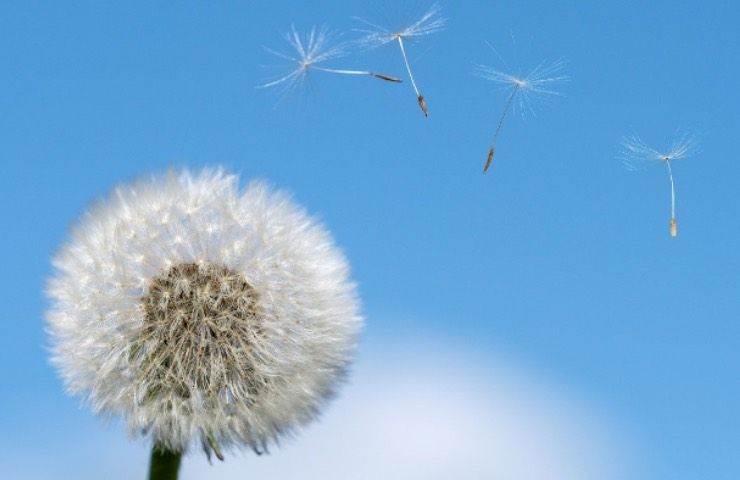 affrontare intolleranze stagione primaverile