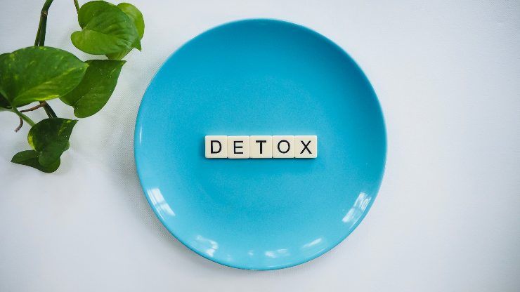 fase detox organismo