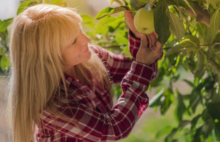 regime alimentare prodotti naturali