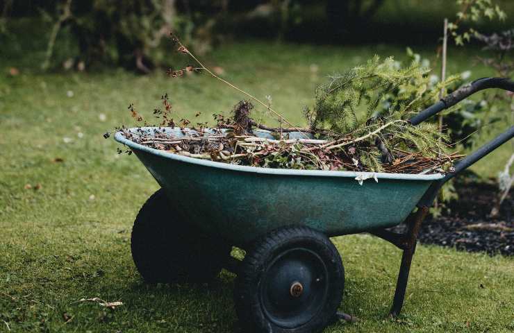 giardinaggio benessere psicofisico