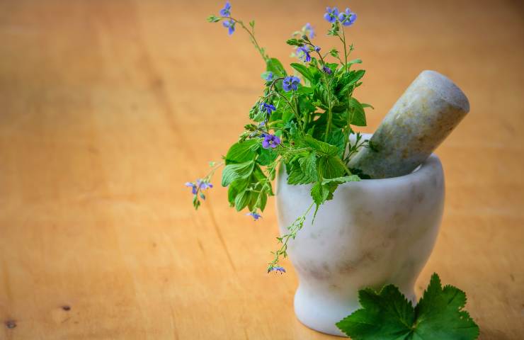 Pesto contaminato da pesticidi