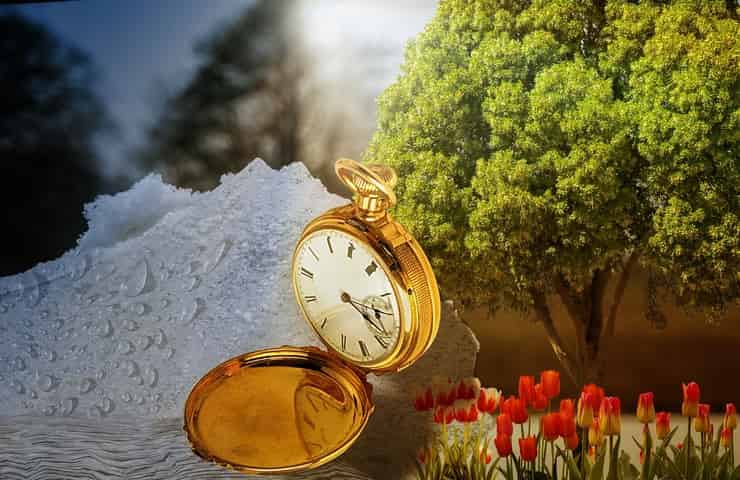 Orologio taschino (Pixabay)
