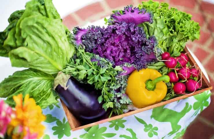 Ortaggi e verdure (Pixabay)
