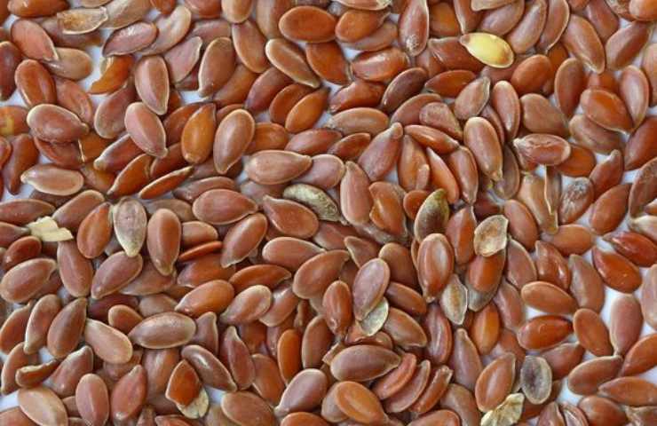 Mangiare semi di lino, i benefici