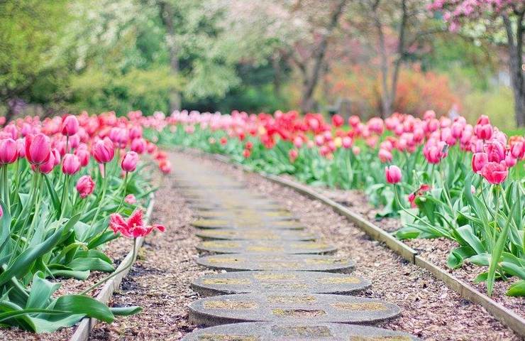 Giardino come fare