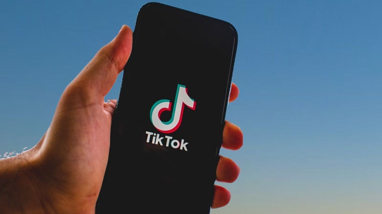 TikTok accuse genitori