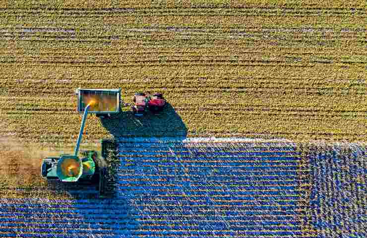 Biofertilizzanti per le coltivazioni