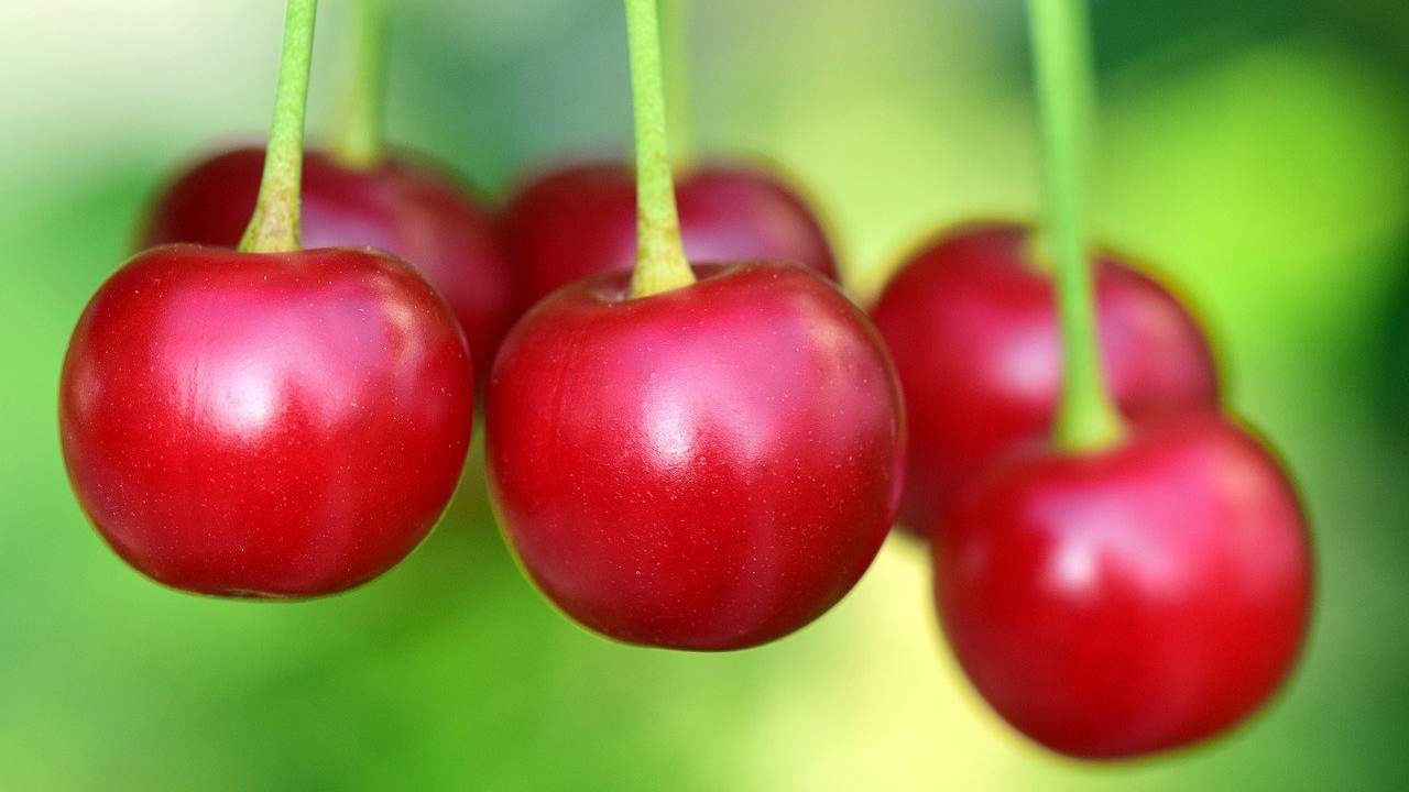 stanchezza primaverile cibo