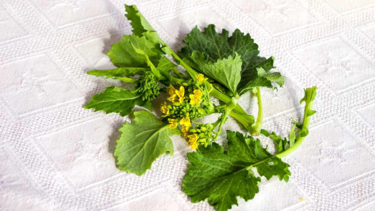 cime di rapa