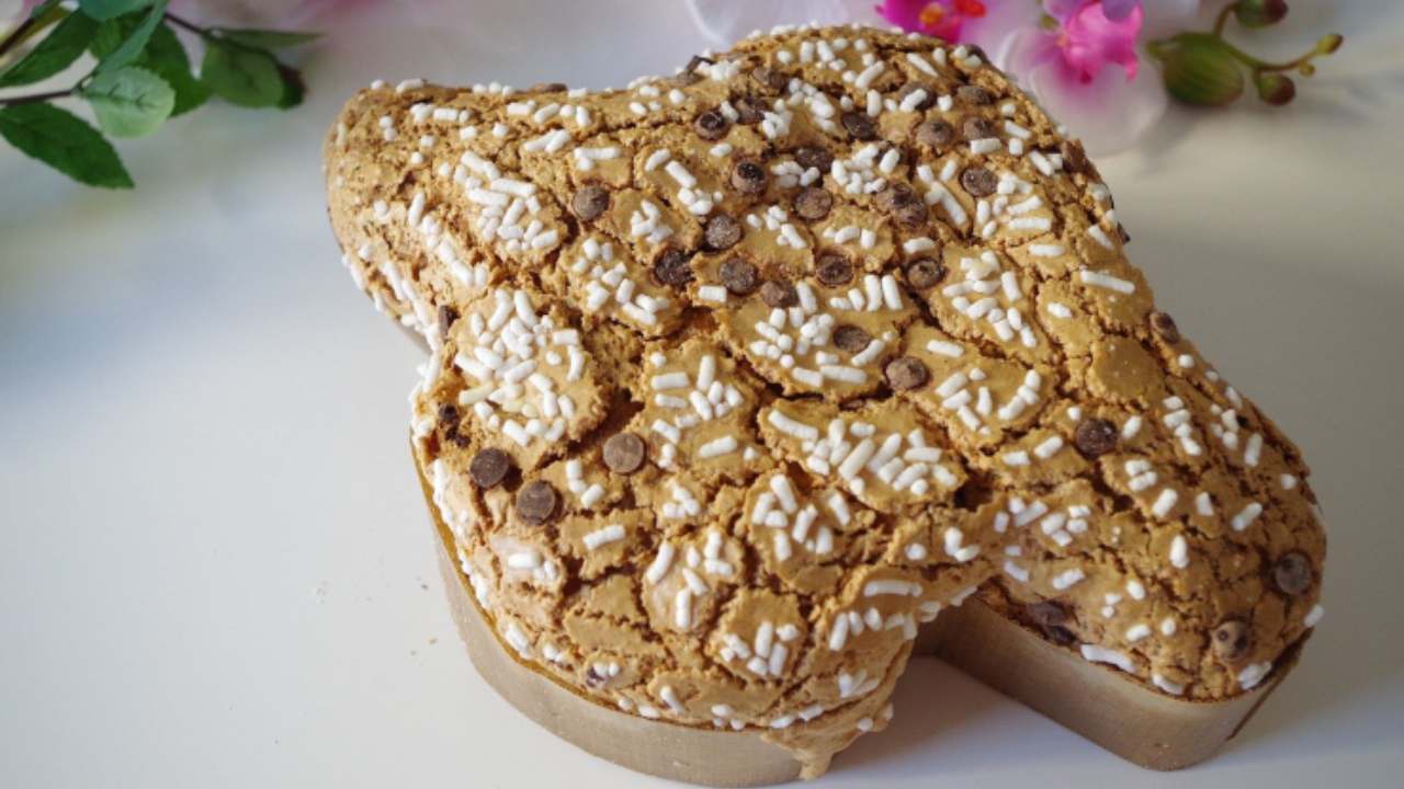 colomba