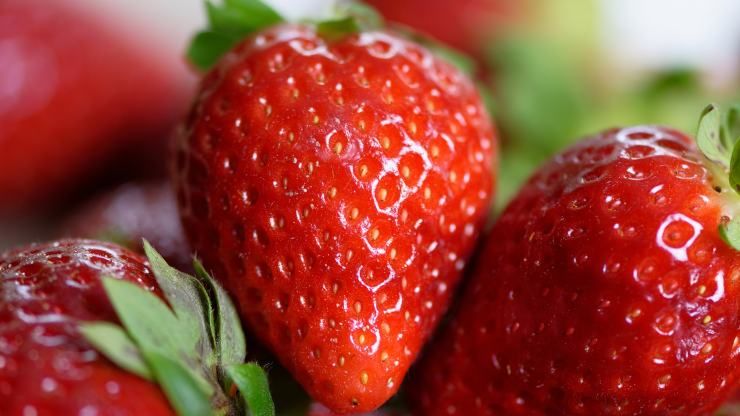 Torta alle fragole