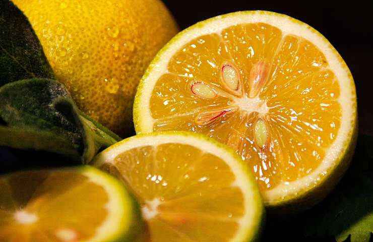 Limoni