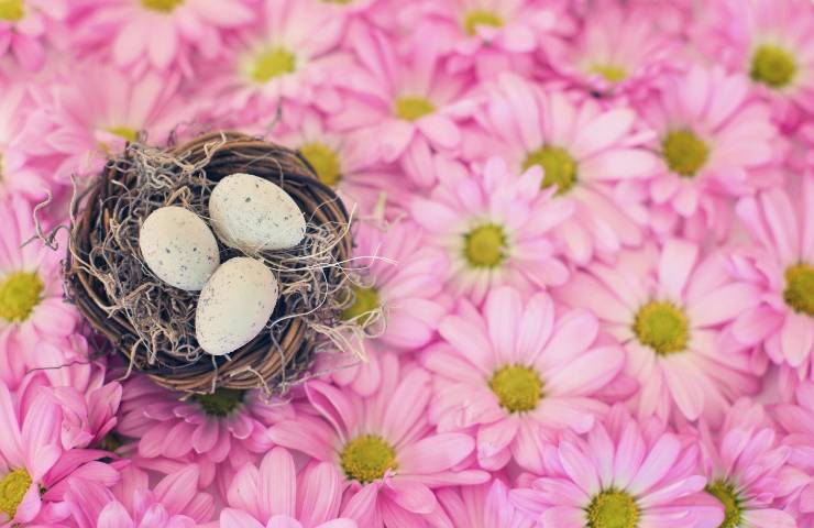 Uova pasqua