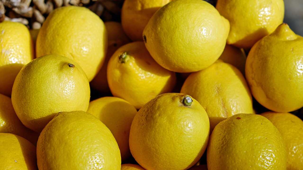 limoni cera