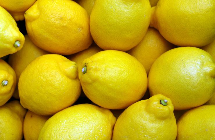 Limoni